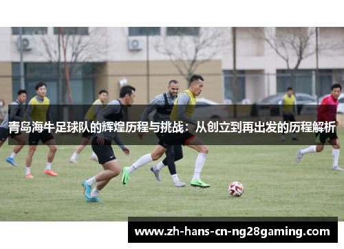青岛海牛足球队的辉煌历程与挑战：从创立到再出发的历程解析