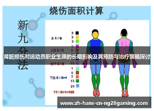 肾脏损伤对运动员职业生涯的长期影响及其预防与治疗策略探讨
