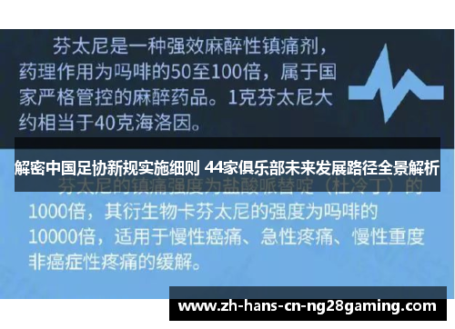 解密中国足协新规实施细则 44家俱乐部未来发展路径全景解析