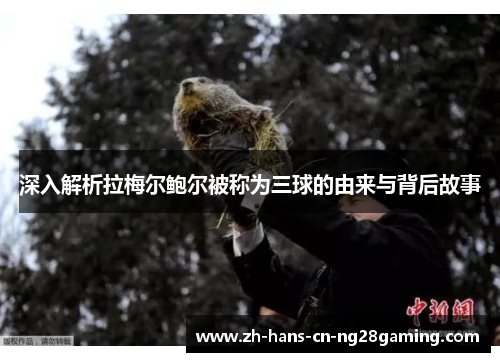 深入解析拉梅尔鲍尔被称为三球的由来与背后故事