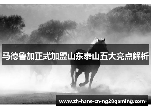 马德鲁加正式加盟山东泰山五大亮点解析