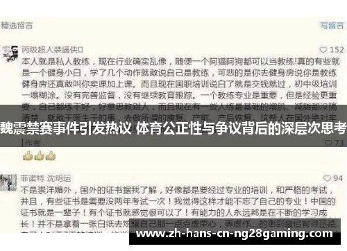 魏震禁赛事件引发热议 体育公正性与争议背后的深层次思考