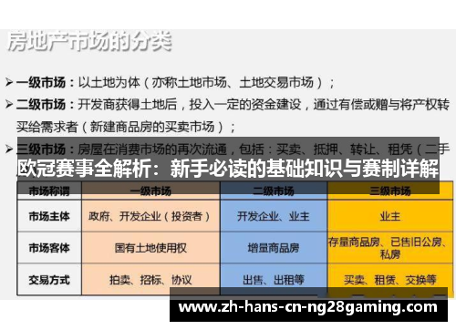 欧冠赛事全解析：新手必读的基础知识与赛制详解