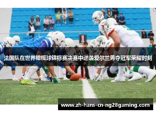 法国队在世界橄榄球锦标赛决赛中逆袭爱尔兰勇夺冠军荣耀时刻