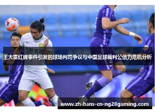 王大雷红牌事件引发的球场判罚争议与中国足球裁判公信力危机分析