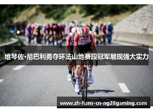 维琴佐·尼巴利勇夺环法山地赛段冠军展现强大实力