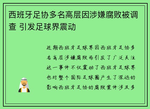西班牙足协多名高层因涉嫌腐败被调查 引发足球界震动